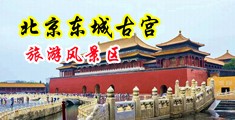 我要干美少妇的爽歪歪中国北京-东城古宫旅游风景区